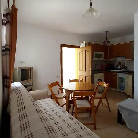 Homestay Teacher *