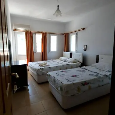 Homestay Teacher *